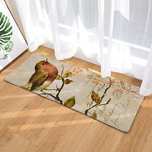 Nunubee Fußmatte Birdie Designe Anti Rutsch Unterlage Wasseraufnahme Teppich Praktische Schmutzfangmatte Haustür Flur Innenbereich Aussen Lustig (Birdie 7-19.7x31.5 Zoll /50x80cm) von Nunubee