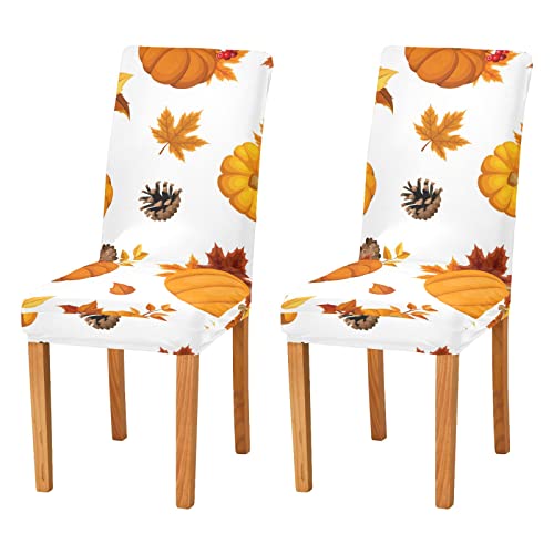 Kürbisse Herbst Stuhlhussen Set für Esszimmer Dehnbar Esszimmer Stuhl Schonbezug Restaurant Hotel Abnehmbar Waschbar Küchenstuhl Schonbezug von ODAWA
