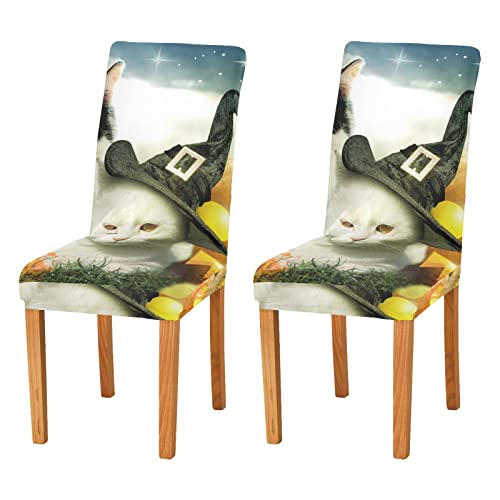 Zwei Katzen Halloween Stuhlhussen Set für Esszimmer Dehnbar Esszimmer Stuhl Schonbezug Restaurant Hotel Abnehmbar Waschbar Küchenstuhl Schonbezug von ODAWA