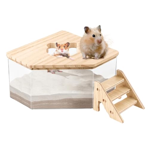 ORTUH Hamster Sandbad Box 2024 Hamster-Badesand Sandbad Behälter Sandbad Hamster-Badebox Mit Treppe, Hamster Sandbad Badezimmer Katzentoilette Chinchilla-Staubbad Hamster-Zubehör 13 x 13 x 8 cm von ORTUH