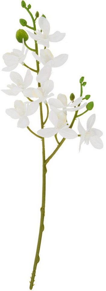 Kunstblume Mini Orchidee Phalaenopsis, DPI, 30 cm von DPI