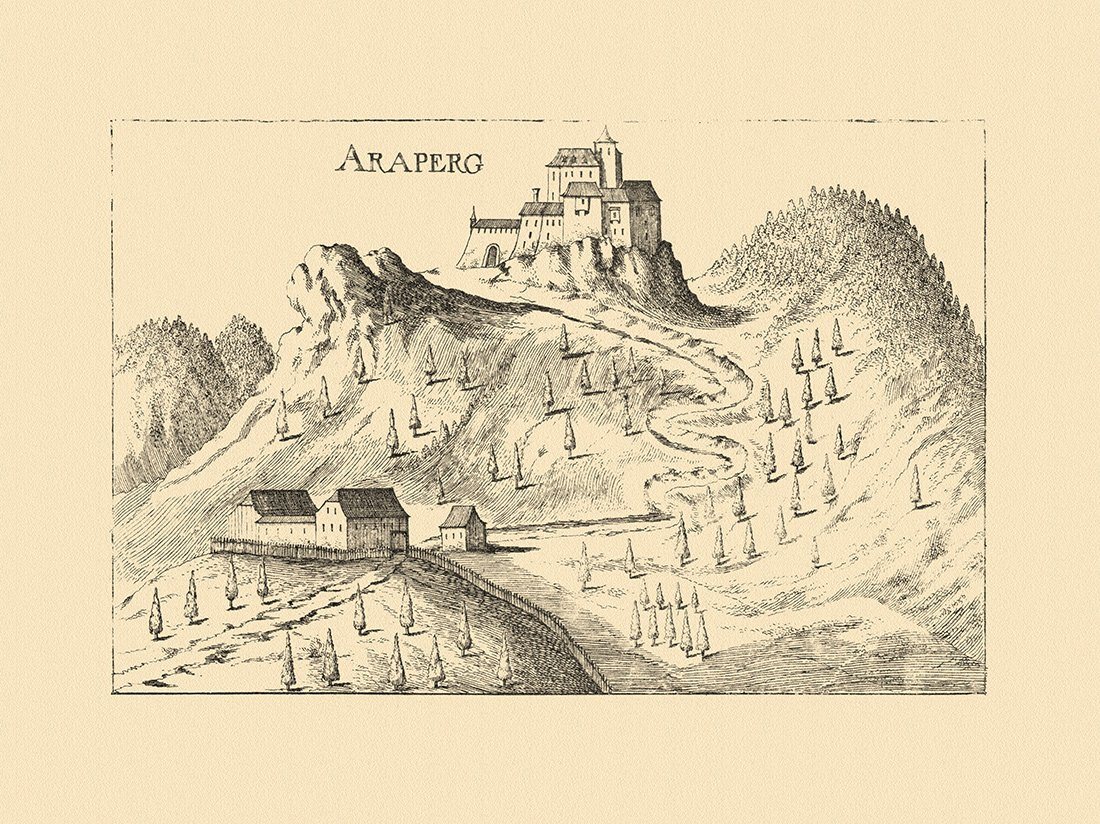 Kunstdruck Araburg Araperg Triestingtal Vischer Österreich Burgen und Schlösser 6, (1 St) von OTTO