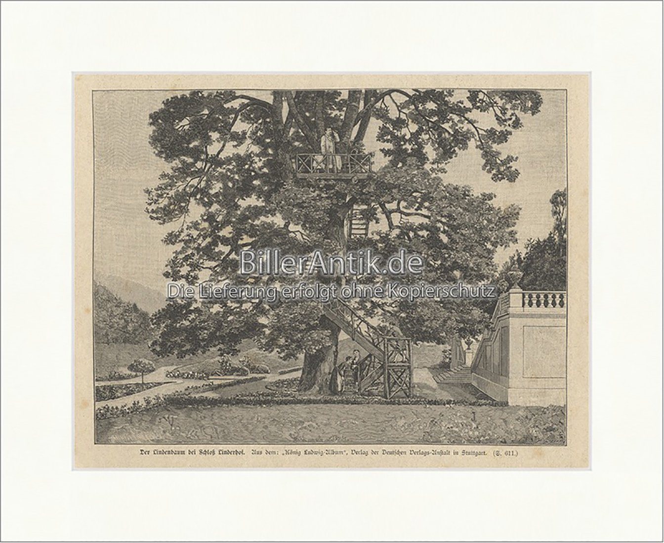 Kunstdruck Der Lindenbaum bei Schloss Linderhof König Ludwig Ettal Park Holzstich, (1 St) von OTTO