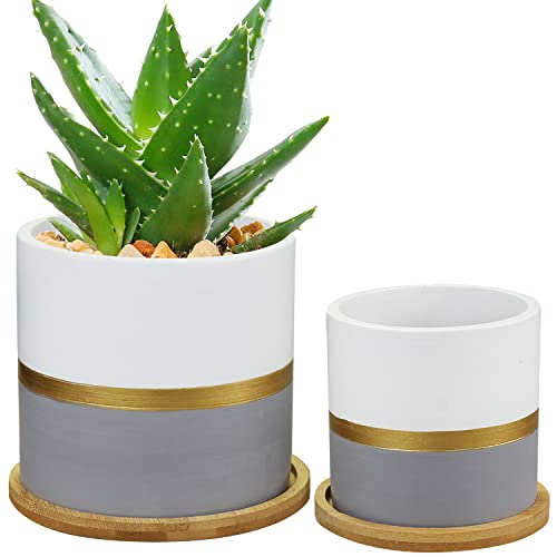 2 PCS Blumentöpfe Indoor mit Bambus Tablett Grauer Zement Blumentopf Kleiner Beton Pflanzer für Kaktus Kräuter Orchidee Mini Pflanzen für Indoor Home Decor, Sukkulenten Topf Durchmesser 10CM/13CM von Oairse