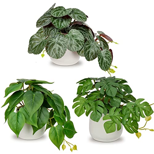 3er-Set Kunstpflanze Hängend Deko Pflanzen im Keramiktopf Mini Kunstpflanze Monstera und Philodendron Dekoration Modern für Home Office Badezimmer Küche und Innendekoration von Oairse