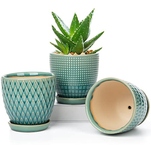 Oairse Blumentopf Keramik Pflanztöpfe 3 Set runde, Succulent Topf kleine mit Ablaufloch und Keramikschale für Sukkulenten Kaktus Indoor Outdoor Garten Home Fensterbank Durchmesser 11,2cm von Oairse