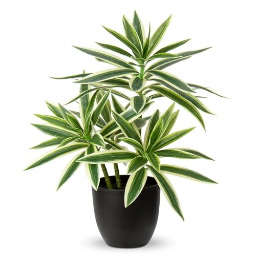 Oairse 41cm Kunstpflanze groß im Topf, Künstliche Dracaena-Pflanze, Dekorative Gefälschte Topfpflanzen, Künstliche Pflanze Tropical Zimmerpflanze für Zuhause, Badezimmer, Küche, Dekoration, Grün von Oairse