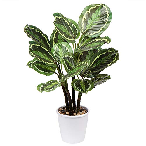 Kunstpflanze Calathea Medaillon 63CM Kunstpflanze Groß im Topf Deko für drinnen und draußen, Moderne Dekoration, Dekoration Badezimmer Wohnzimmer Schlafzimmer Balkon von Oairse