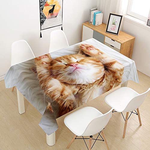 Oduo Tischdecke Wasserdicht Polyester Rechteckig, 3D-Katze Bedruckte Tischdecke Pflegeleicht Fleckschutz Ölfest Abwaschbar Outdoor Garten Deko Farbe & Größe Wählbar (Orangene Katze,60x60cm) von Oduo