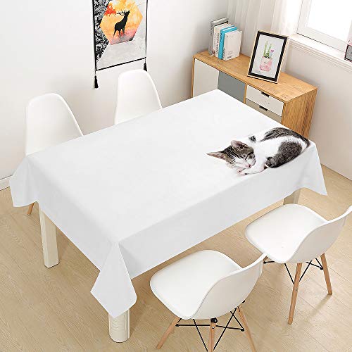 Oduo Tischdecke Wasserdicht Polyester Rechteckig, 3D-Katze Bedruckte Tischdecke Pflegeleicht Fleckschutz Ölfest Abwaschbar Outdoor Garten Deko Farbe & Größe Wählbar (Weiß,60x60cm) von Oduo