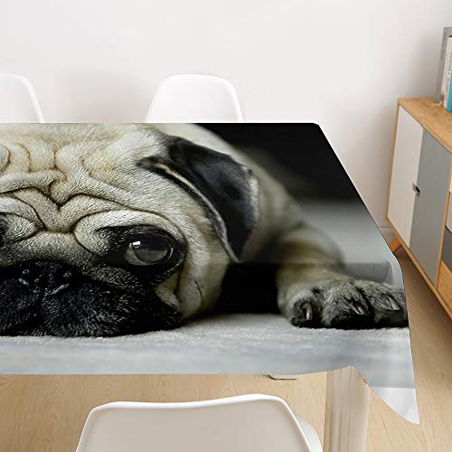 Oduo Tischdecke Wasserdicht Polyester Rechteckig, Tischdecke mit 3D Hundedruck Pflegeleicht Fleckschutz Ölfest Abwaschbar Outdoor Garten Deko (Mops,140x160cm) von Oduo