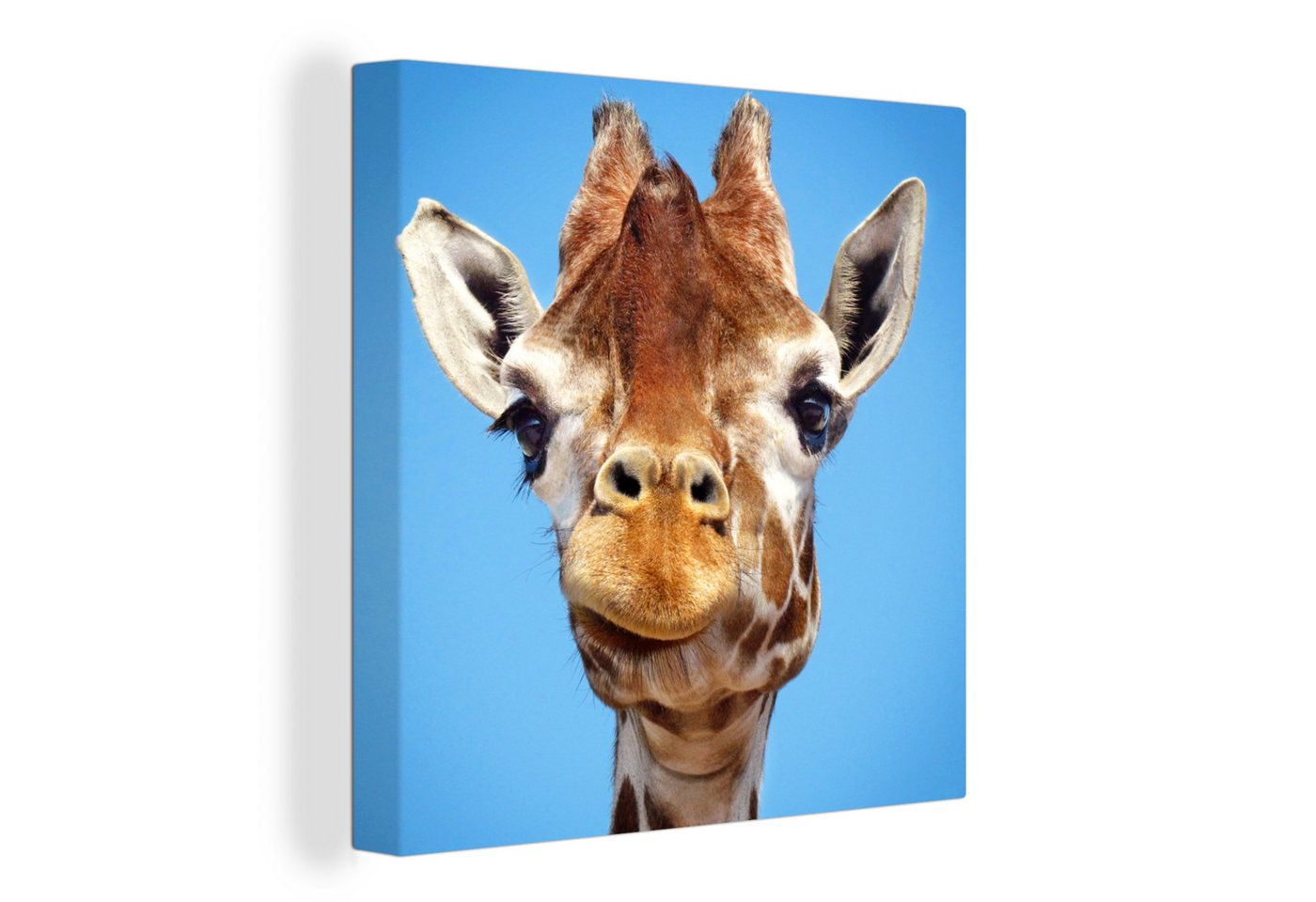 OneMillionCanvasses® Leinwandbild Giraffe - Tier - Luft, (1 St), Leinwand Bilder für Wohnzimmer Schlafzimmer von OneMillionCanvasses®