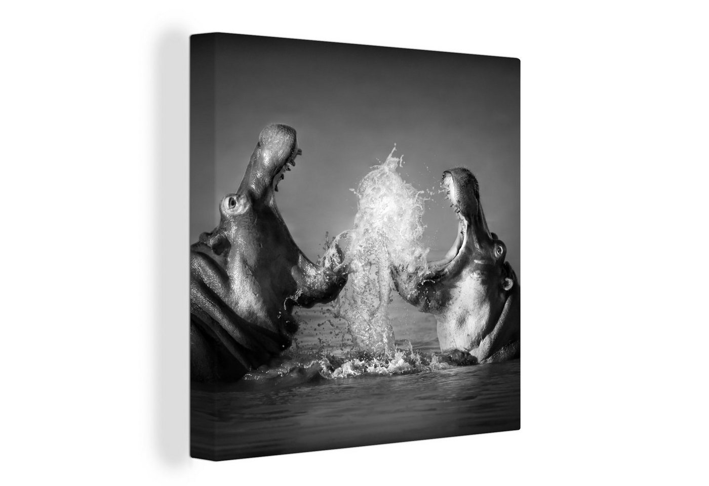 OneMillionCanvasses® Leinwandbild Tiere - Nilpferd - Wasser - Schwarz - Weiß, (1 St), Leinwand Bilder für Wohnzimmer Schlafzimmer von OneMillionCanvasses®