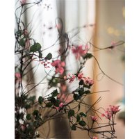 Rattan-stern, Künstliche Pflanze, Hängende Gewundene Rattan-Blume, Blumen, Wohnkultur von FineSnow