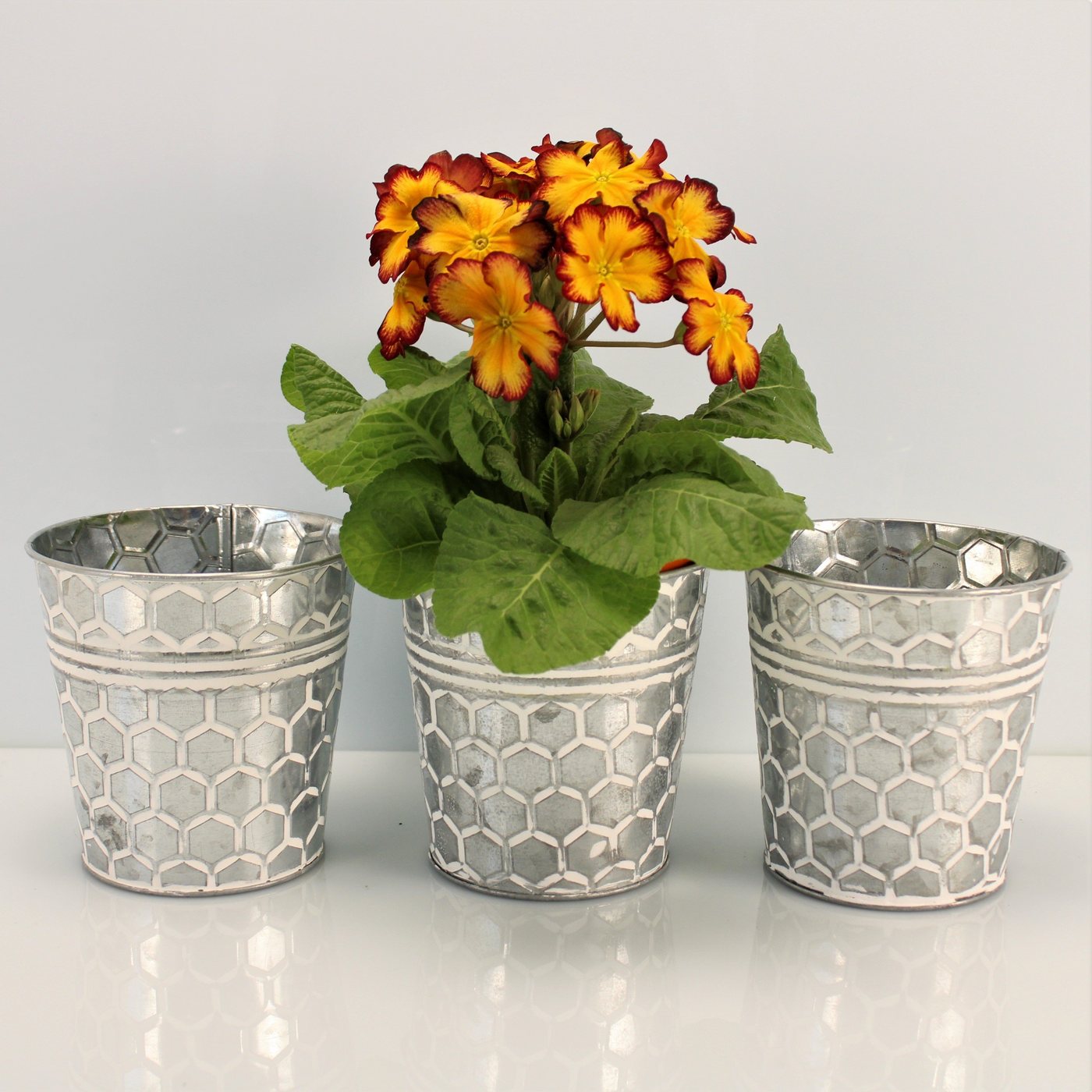 Online-Fuchs Blumentopf Runde silberne Blumentöpfe aus Metall mit Wabenmuster Kräutertopf (3er Set), Vintage-Art von Online-Fuchs