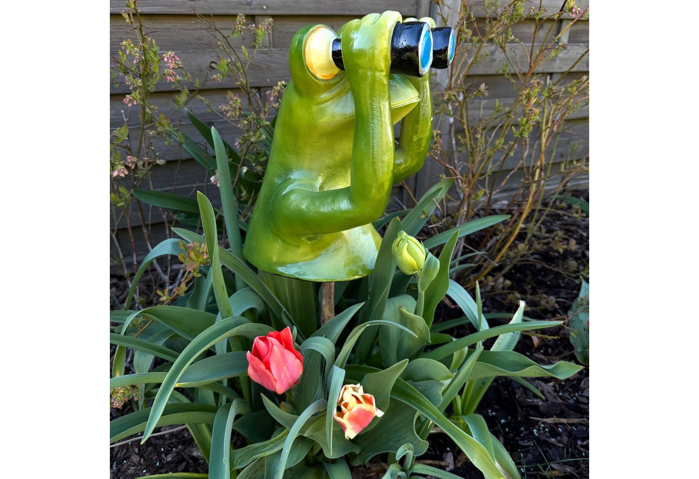 Online-Fuchs Gartenfigur Deko Figuren Frosch mit Fernglas, Spanner für Garten, Balkon, Terrasse, Gartenstecker, Beetstecker - wetterfest, für den Außenbereich geeignet Online-Fuchs Gartenfigur Deko Figuren Frosch mit Fernglas, Spanner für Garten, Balkon, Terrasse, Gartenstecker, Beetstecker - wetterfest, für den Außenbereich geeignet von Online-Fuchs