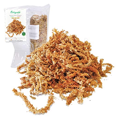 Premium Sphagnum Moos 150 Gramm aus Chile, Torfmoos-Substrat, für Orchideen und Bonsai von Ortisgreen