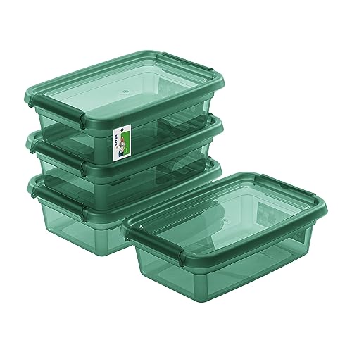 PAFEN 4X Aufbewahrungsbox mit Deckel 3L – 29 x 19,5 x 9 cm - Boxen Aufbewahrung Stapelboxen mit Verschlussclips Kunststoffbehälter Kleiderboxen Transparent Organizer | Grün von PAFEN