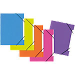 PAGNA Fächermappe DIN A4 Unbeschriftet Polypropylen 5 Fächer Mehrfarbig 24,5 (B) x 4 (T) x 32 (H) cm 5 Stück von PAGNA