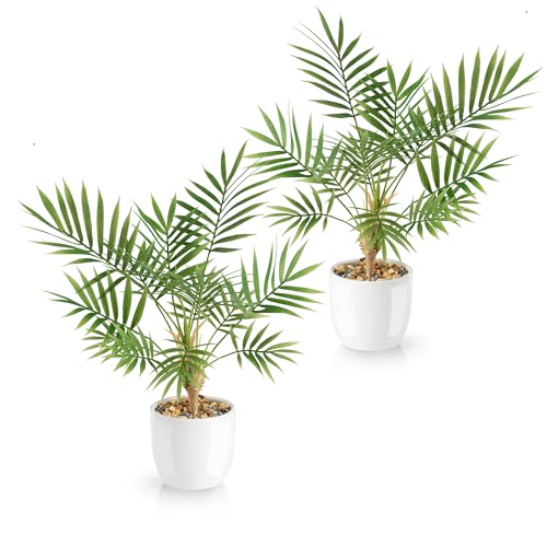 PASCH® 2er Set Kunstpalme Areca (35cm) in weißen Keramiktöpfen: Kunstpflanzen wie echt | Künstliche Pflanzen im Topf | Fake Plant | Palme künstlich | Kunstblumen im Topf | Künstliche Palme von PASCH