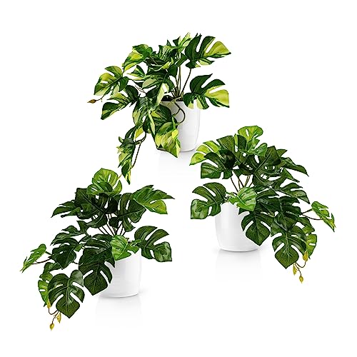 PASCH® 3er Set Monstera künstlich (20cm) in weißen Keramiktöpfen: künstliche Pflanzen wie echt | Monstera Pflanze künstlich | Kunstpflanze hängend im Topf | Hängepflanze künstlich abgestimmt von PASCH