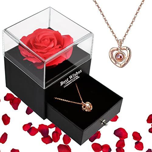 Ewige Rose Geschenke für Frauen Infinity Rosen Konservierte Rose mit Schmuck Geschenkbox Ewige Blume Geschenk Freundin Geburtstagsgeschenk für Frauen Mama Oma Hochzeit Jahrestag Valentinstag Muttertag von PASDTFB