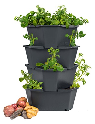 PAUL POTATO Starter Kartoffelturm - 4 Etagen von Gusta Garden - anthrazit/grau - stapelbar - Hochbeet/Pflanzgefäß für Balkon und Garten von PAUL POTATO