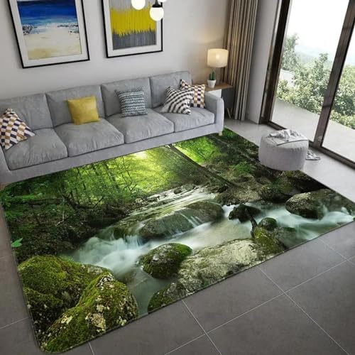 PDSYCB Natürliche Landschaft 3D Teppich für Wohnzimmer Grüne Pflanze Baum Landschaft Sonnenlicht Landschaft Hauseingang Tür Matte Wohnzimmer Teppiche Anti-Rutsch-Teppich im Badezimmer 60x100cm von PDSYCB