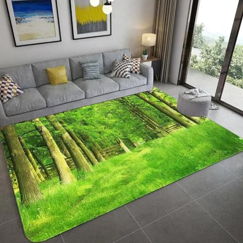 PDSYCB Natürliche Landschaft 3D Teppich für Wohnzimmer Grüne Pflanze Baum Landschaft Sonnenlicht Landschaft Hauseingang Tür Matte Wohnzimmer Teppiche Anti-Rutsch-Teppich im Badezimmer 60x90cm von PDSYCB