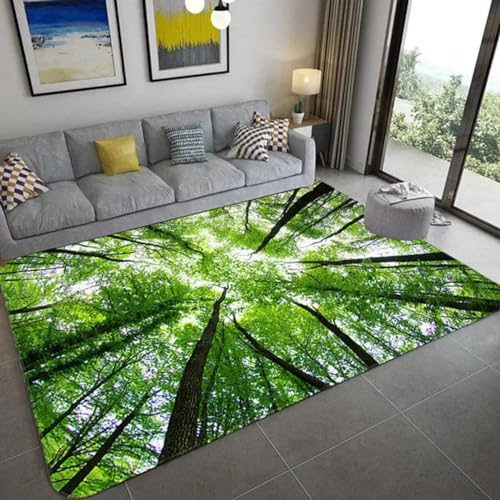 PDSYCB Natürliche Landschaft 3D Teppich für Wohnzimmer Grüne Pflanze Baum Landschaft Sonnenlicht Landschaft Hauseingang Tür Matte Wohnzimmer Teppiche Anti-Rutsch-Teppich im Badezimmer 70x120cm von PDSYCB