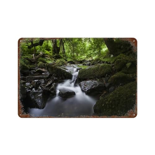 Kleine Fluss- und Steinlandschaft im Wald，Metall-Blechschild，Vintage Blechschild, Wanddekoration, Landküche, Zuhause, Garage, Dekoration-30 x 40 cm (12 x 16 Zoll) M38 von PGCKSK