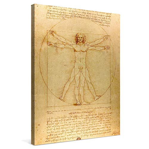 PICANOVA – Leonardo da Vinci – Vitruvian Man 30x40cm – Bild auf Leinwand – Premium Kunstdruck Auf 2cm Holz-Keilrahmen Für Schlaf- Und Wohnzimmer – Klassische Kunst von PICANOVA