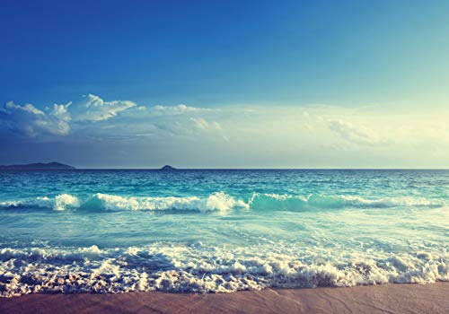 PICSonPAPER Hochwertiges Poster Strand Seychellen im Sonnenuntergang, 100 cm breit x 70 cm hoch, Dekoration, Kunstdruck, Wandbild, Fineartprint, Meer, Sommer von PICSonPAPER