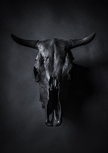 PICSonPAPER Kunstdruck DIN A3 Bull's Skull, ungerahmt, Geschenk, Poster, Geschenkidee, Geburtstagsgeschenk, Wandbild, Stierschädel (Ohne Bilderrahmen DIN A3) von PICSonPAPER