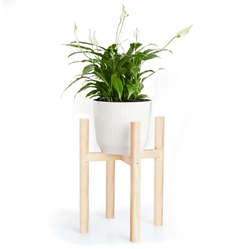 PINEEA Blumenständer Holz - Robuster Pflanzenständer 29x29x38 cm - Moderner Plant Stand Indoor von PINEEA