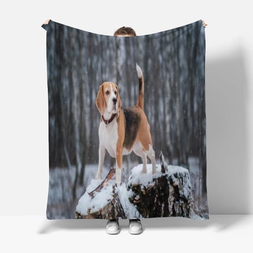 PINNKL Kuscheldecke Flauschig Beagles Flanelldecke Kinder 130x150 Süßes Haustier 3D-Digitaldruck Decke Weich Bequem Wohndecke Tagesdecke,Sofadecke Für Jungen Erwachsene Geschenk von PINNKL