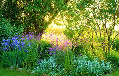 VLIES Fototapete-350x260 cm-GARTEN LANDSCHAFT-(PF5241)-Pflanzen Blumen Gras Natur Bäume Wiese Park Wandbild Wandtattoo Poster Dekoration von PLANET PHOTOWALLS