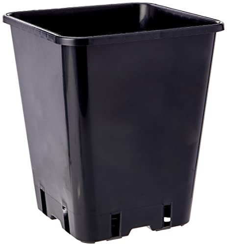 PLANT IT Töpfe Quadratischer, 20 cm, 5,7 L, schwarz von PLANT!T