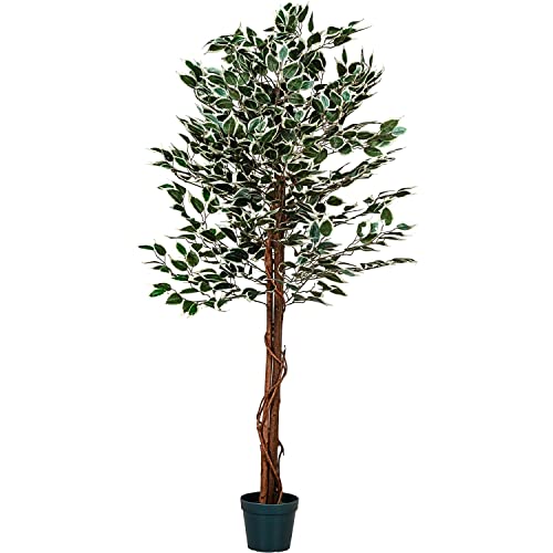 PLANTASIA Kunstpflanze Ficus Benjamini 160 cm von PLANTASIA