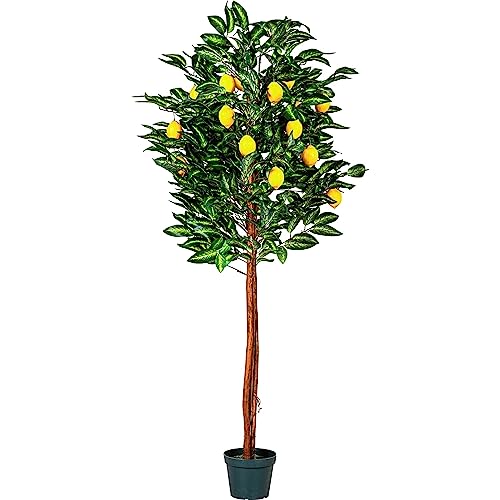 PLANTASIA Kunstpflanze Zitronenbaum 180 cm von PLANTASIA