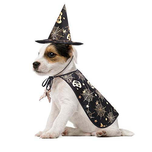 POPETPOP Zaubererhüte Pet Halloween Costume Cape and Wizard Hat Creative Decor Dog Performance Costume for Holiday Cosplay (Size M) Kostüm Für Katzen Halloween von POPETPOP