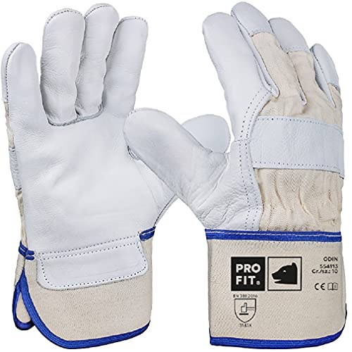 PRO FIT Premium Arbeitshandschuh ODIN 12er Pack – Rindvollleder Handschuhe, Profi Forst Handschuh, Schutzhandschuhe mit Canvas-Stulpe - Natur, Gr. 11 von PRO FIT