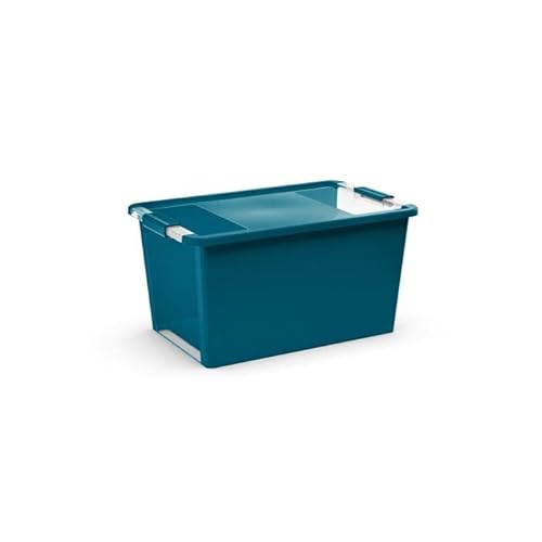 PROREGAL Mehrzweck Aufbewahrungsbehälter STORAGE mit Deckel | HxBxT 28x55x35cm | 40 Liter | Türkis | Behälter, Box, Aufbewahrungsbehälter, Aufbewahrungsbox von PROREGAL