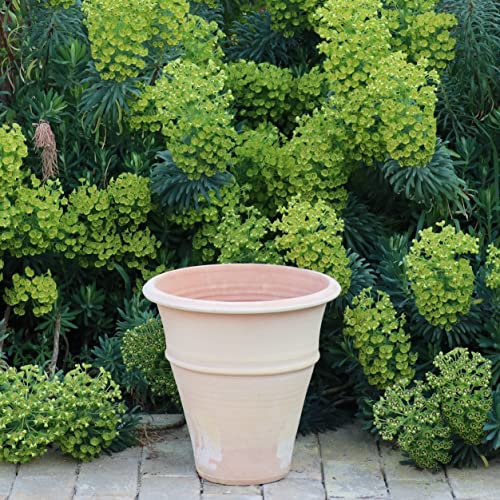 Palatina Werkstatt Terracotta Blumentopf Yucca 35cm - In 100% Handarbeit gefertigtes Unikat – Schmücken Sie Ihr Zuhause mit dem winterfesten Pflanzkübel für den Innen- & Außenbereich von Palatina Werkstatt