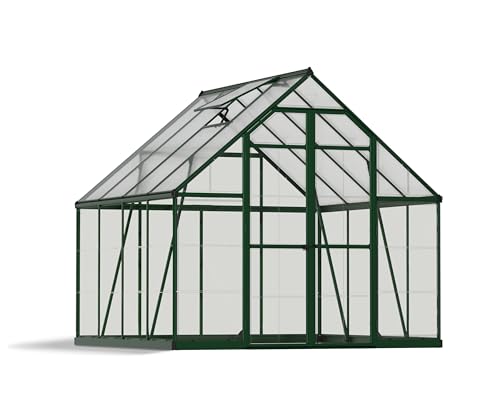 Palram Canopia Aluminium Gewächshaus Balance 2,5x2,5 m Gartenhaus Treibhaus Tomatenhaus & Pflanzenhaus 8x8 Grün 244x244x229 cm (LxBxH), 8x8 von CANOPIA