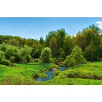 Papermoon Fototapete "FLUSS IM WALD-BAUM NATUR DSCHUNGEL SONNE WEG WASSERFALL" von Papermoon