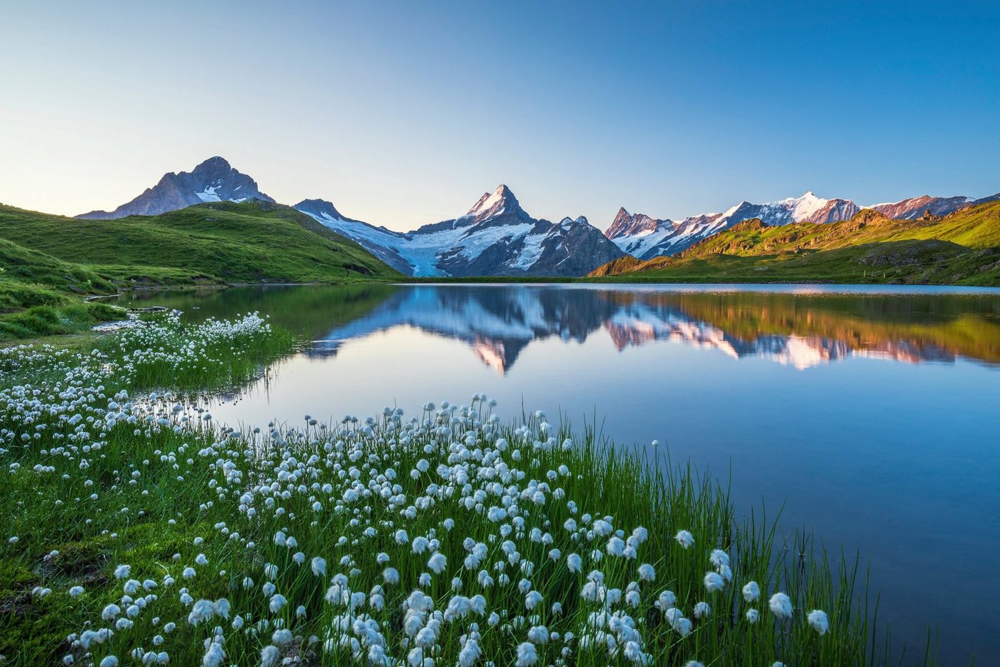 Papermoon Fototapete LANDSCHAFT-GEBIRGE BERGE SEE ALPEN BLUMEN NATUR TAPETE von Papermoon