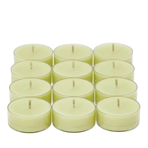 Teelichter, Zitrone, Minztee, 12 Stück – Partylite – Lemon & Tea Tree von PartyLite