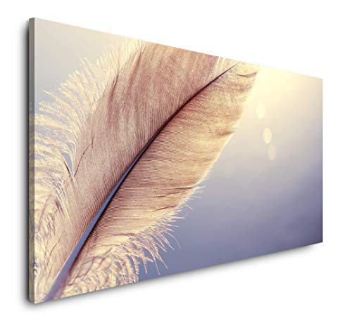 Feder im Sonnenuntergang 120x 60cm Panorama Leinwand Bild XXL Format Wandbilder Wohnzimmer Wohnung Deko Kunstdrucke Feder im Sonnenuntergang 120x 60cm Panorama Leinwand Bild XXL Format Wandbilder Wohnzimmer Wohnung Deko Kunstdrucke von Paul Sinus Art