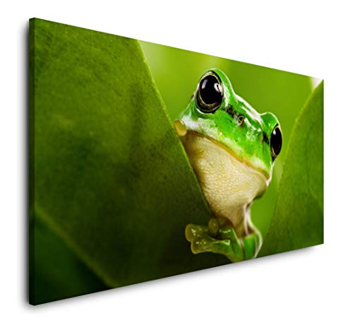 Frosch hinter Blättern 120x 60cm Panorama Leinwand Bild XXL Format Wandbilder Wohnzimmer Wohnung Deko Kunstdrucke Frosch hinter Blättern 120x 60cm Panorama Leinwand Bild XXL Format Wandbilder Wohnzimmer Wohnung Deko Kunstdrucke von Paul Sinus Art